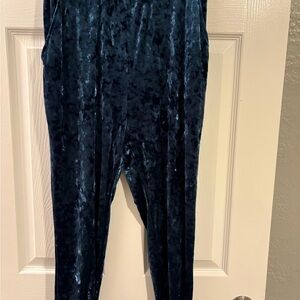 Ecote Midnight Blue Velour Haram Pants